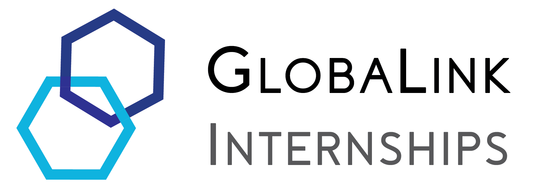 GlobaLink Internships
